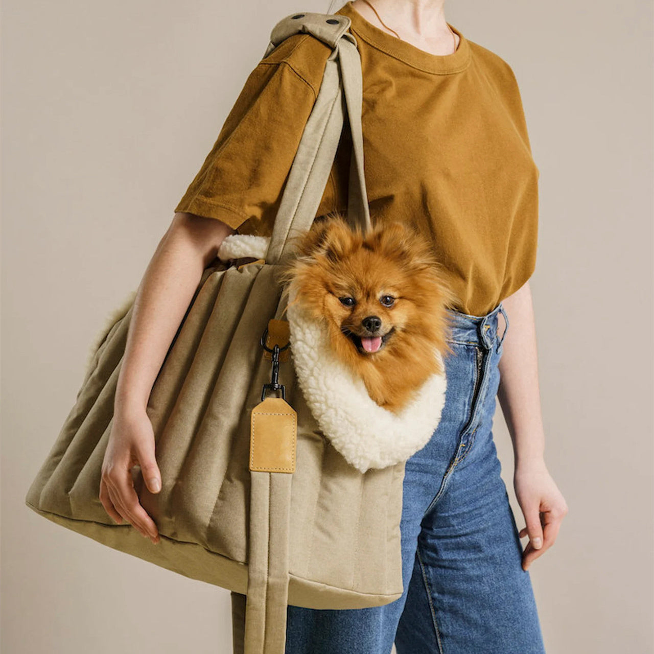 Pupvex Waterproof Pet Carrier  Travel Handbag