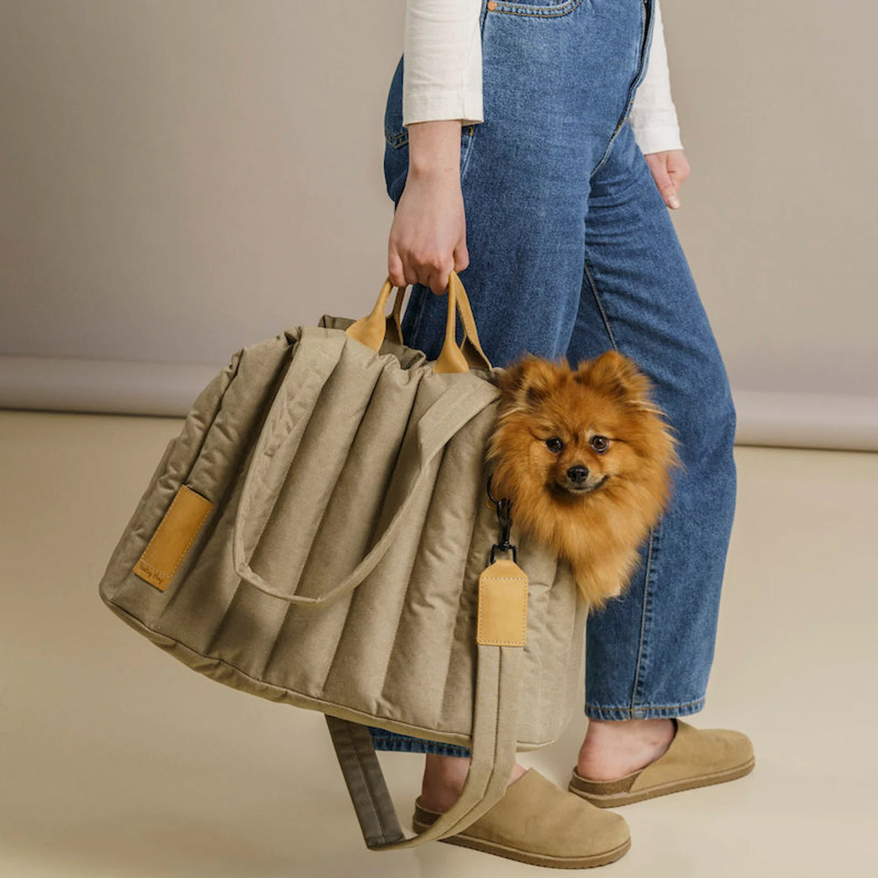 Pupvex Waterproof Pet Carrier  Travel Handbag