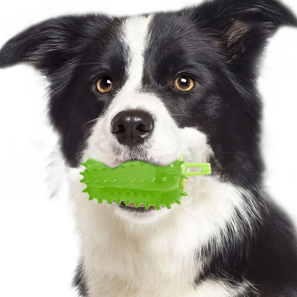 Pupvex Dog Teething Chili Toy  Chew  Play