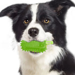 Pupvex Dog Teething Chili Toy  Chew  Play