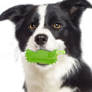 Pupvex Dog Teething Chili Toy  Chew  Play