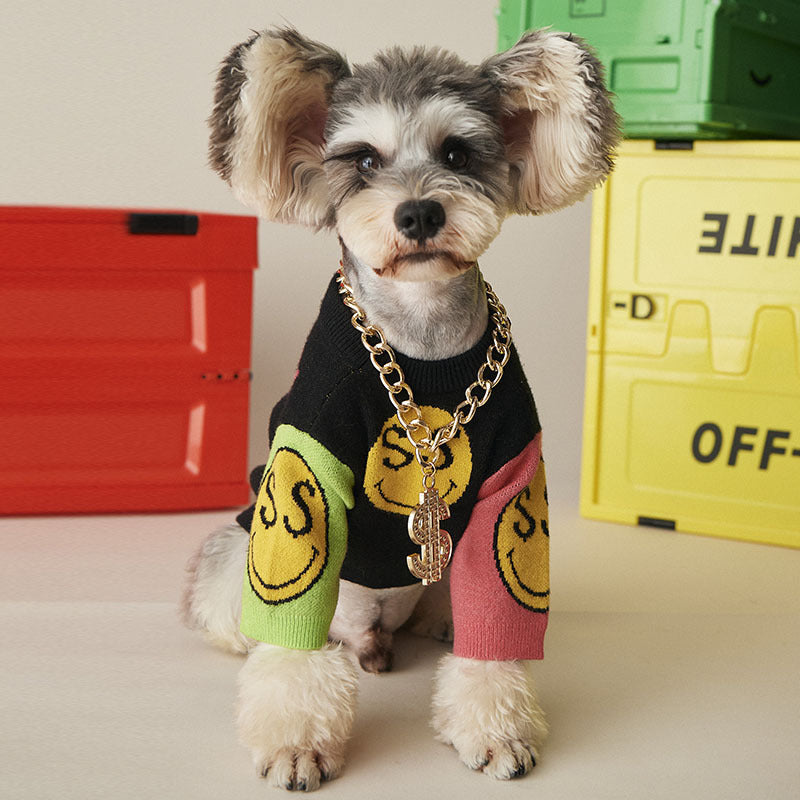 Pupvex Gold Dog Chain Collar with Name Tag