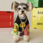 Pupvex Gold Dog Chain Collar with Name Tag