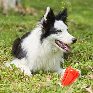 Pupvex Dog Teething Chili Toy  Chew  Play